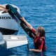 Πέδιλα για θαλάσσιο σκι Jobe Hemi 59'' (surf2820)