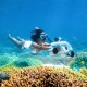 Sublue Underwater Scooter MixPro - Μαύρο (surf2898-Μαύρο)
