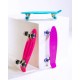 Πλαστικό mini cruiser skateboard 22.5'' Μπλε με LED ρόδες Fish (surfSK-22INCH-LED-BLUE)