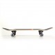 Skateboard 31'' Poseidon Fish  (surfTLS-3108CA)