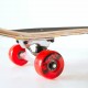 Skateboard 31'' Street (surfTLS-3108CN)