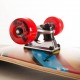 Skateboard 31'' Street (surfTLS-3108CN)
