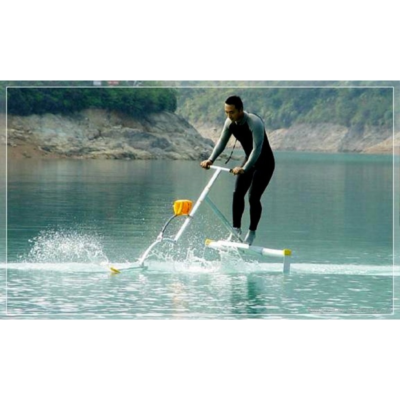 Water Skiper (surf464)